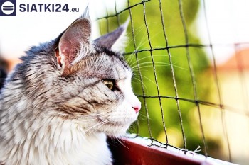 Siatki Radomsko - Siatka na balkony dla kota i zabezpieczenie dzieci dla terenów Radomska