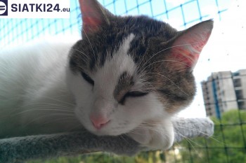 Siatki Radomsko - Siatka na balkony dla kota i zabezpieczenie dzieci dla terenów Radomska